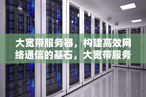 大宽带服务器，构建高效网络通信的基石，大宽带服务器推荐