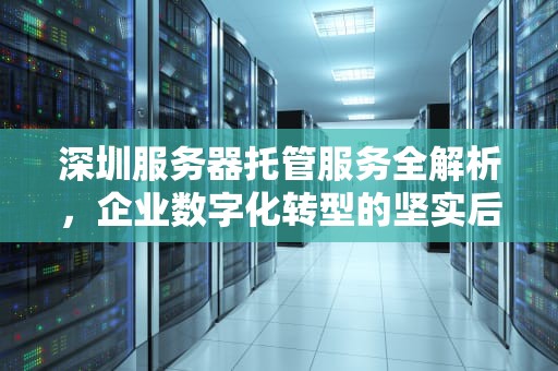 深圳服务器托管服务全解析，企业数字化转型的坚实后盾，深圳服务器托管商