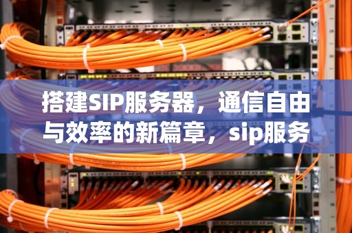 搭建SIP服务器，通信自由与效率的新篇章，sip服务器搭建风险