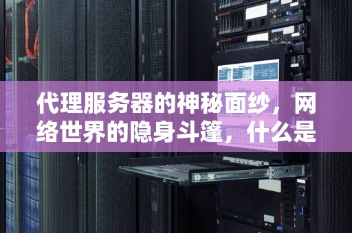 代理服务器的神秘面纱，网络世界的隐身斗篷，什么是代理服务器设置