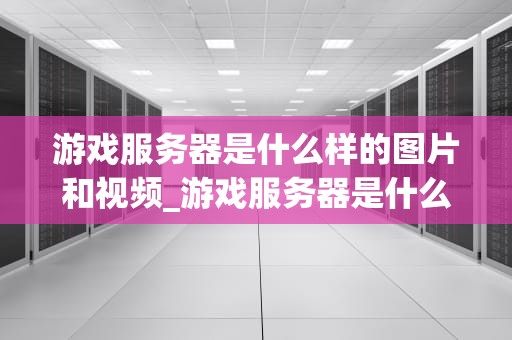 游戏服务器是什么样的图片和视频_游戏服务器是什么样的图片和视频软件_游戏服务器的神秘面纱