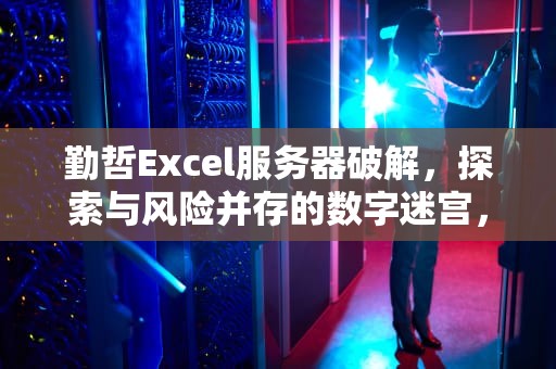 勤哲Excel服务器破解，探索与风险并存的数字迷宫，勤哲Excel服务器破解