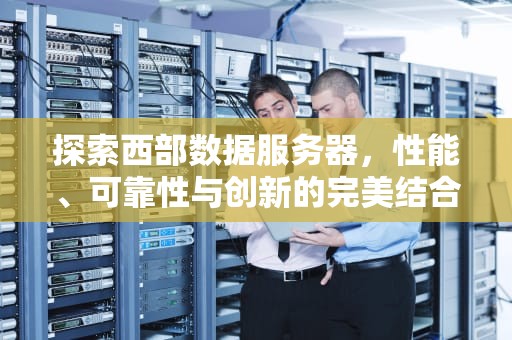 探索西部数据服务器，性能、可靠性与创新的完美结合，西部数据服务器官网