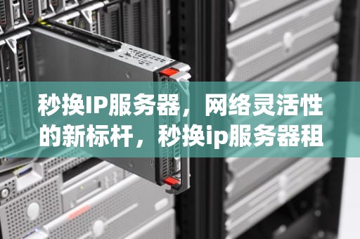 秒换IP服务器，网络灵活性的新标杆，秒换ip服务器租用