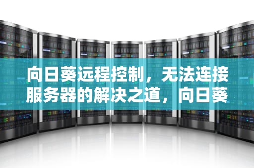 向日葵远程控制，无法连接服务器的解决之道，向日葵无法连接服务器的故障排除