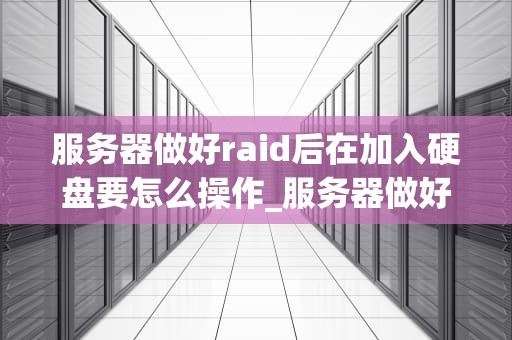 服务器做好raid后在加入硬盘要怎么操作_服务器做好raid后在加入硬盘要怎么操作才能启动_服务器RAID配置与硬盘添加操作指南