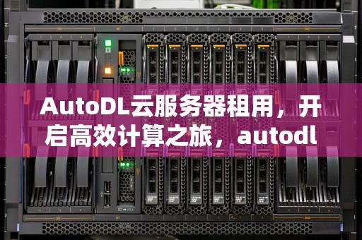 AutoDL云服务器租用，开启高效计算之旅，autodl云服务器租用价格