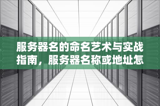 服务器名的命名艺术与实战指南，服务器名称或地址怎么填