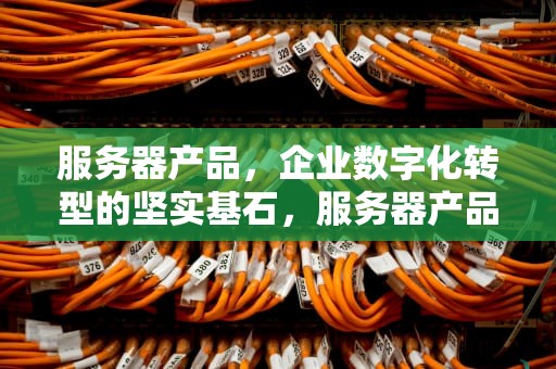 服务器产品，企业数字化转型的坚实基石，服务器产品有哪些