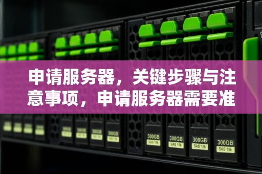 申请服务器，关键步骤与注意事项，申请服务器需要准备什么