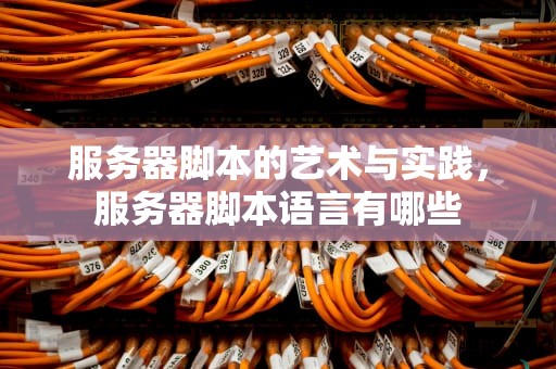 服务器脚本的艺术与实践，服务器脚本语言有哪些
