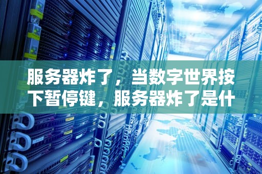 服务器炸了，当数字世界按下暂停键，服务器炸了是什么意思