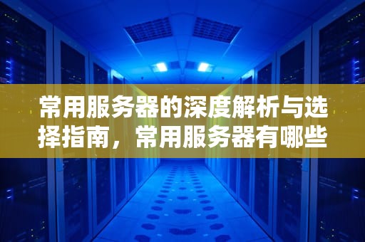 常用服务器的深度解析与选择指南，常用服务器有哪些