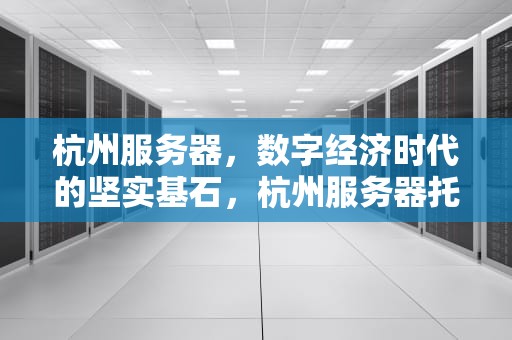 杭州服务器，数字经济时代的坚实基石，杭州服务器托管