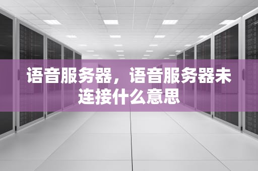 语音服务器，语音服务器未连接什么意思