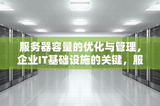 服务器容量的优化与管理，企业IT基础设施的关键，服务器容量是什么意思