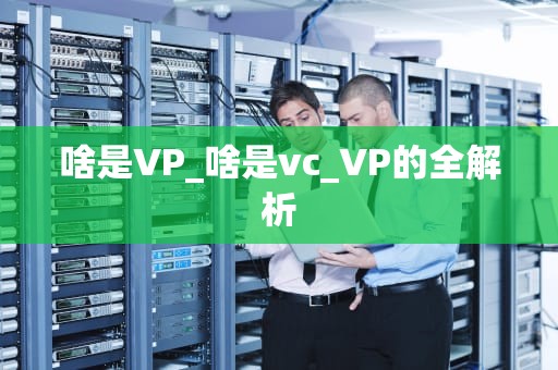 啥是VP_啥是vc_VP的全解析