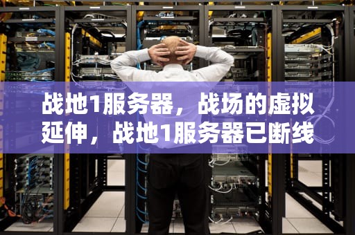 战地1服务器，战场的虚拟延伸，战地1服务器已断线