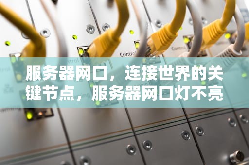 服务器网口，连接世界的关键节点，服务器网口灯不亮什么原因