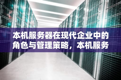 本机服务器在现代企业中的角色与管理策略，本机服务器地址怎么查