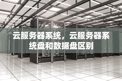 云服务器系统，云服务器系统盘和数据盘区别