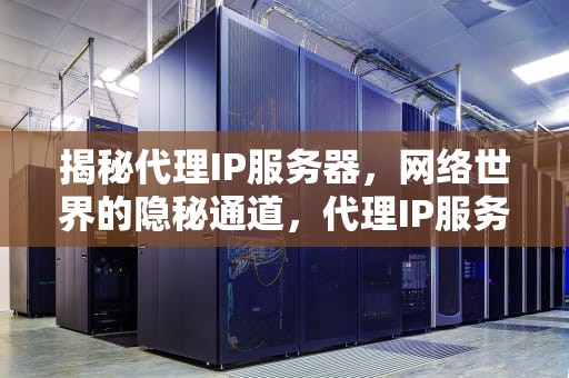 揭秘代理IP服务器，网络世界的隐秘通道，代理IP服务器搭建