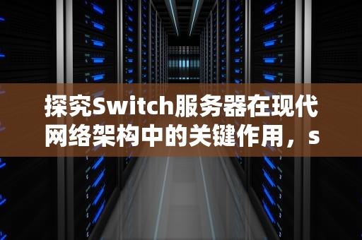 探究Switch服务器在现代网络架构中的关键作用，switch服务器连接错误