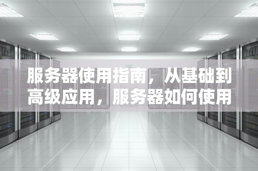 服务器使用指南，从基础到高级应用，服务器如何使用无线网卡