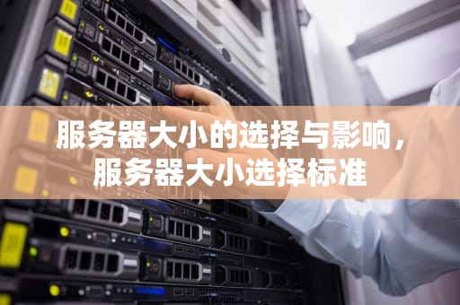 服务器大小的选择与影响，服务器大小选择标准