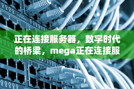 正在连接服务器，数字时代的桥梁，mega正在连接服务器