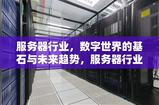 服务器行业，数字世界的基石与未来趋势，服务器行业发展状况