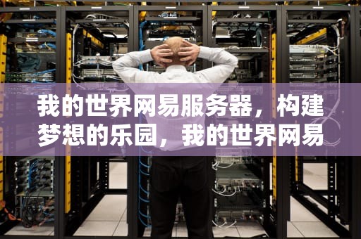 我的世界网易服务器，构建梦想的乐园，我的世界网易服务器开挂教程