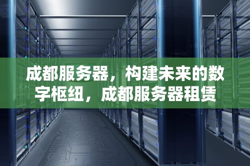 成都服务器，构建未来的数字枢纽，成都服务器租赁