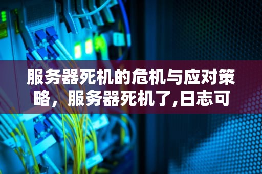 服务器死机的危机与应对策略，服务器死机了,日志可以看到问题
