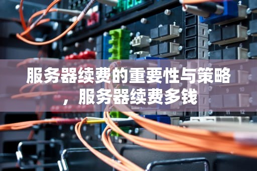 服务器续费的重要性与策略，服务器续费多钱