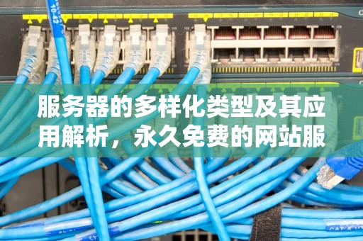 服务器的多样化类型及其应用解析，永久免费的网站服务器有哪些类型