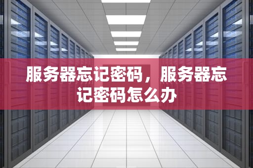 服务器忘记密码，服务器忘记密码怎么办