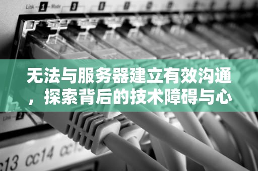 无法与服务器建立有效沟通，探索背后的技术障碍与心理影响，无法与服务器建立安全连接怎么解决