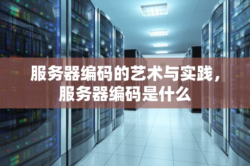 服务器编码的艺术与实践，服务器编码是什么