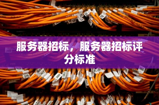 服务器招标，服务器招标评分标准