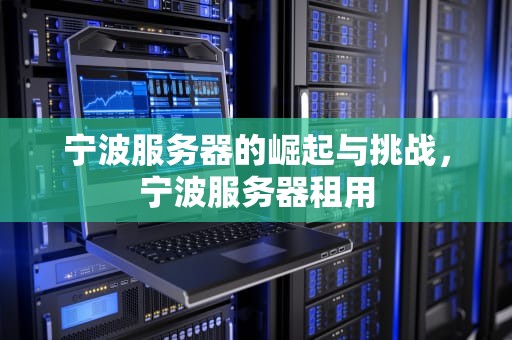 宁波服务器的崛起与挑战，宁波服务器租用