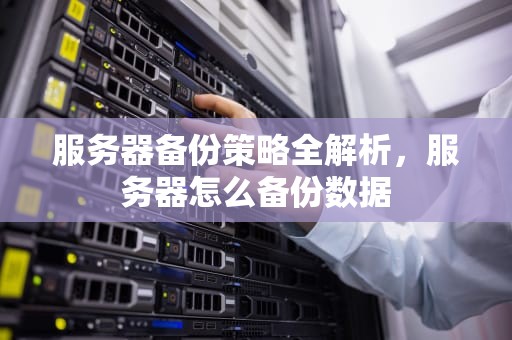 服务器备份策略全解析，服务器怎么备份数据