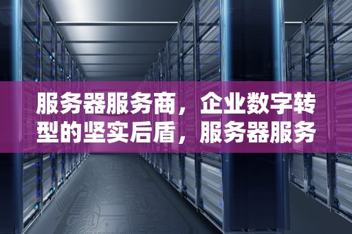 服务器服务商，企业数字转型的坚实后盾，服务器服务商排名