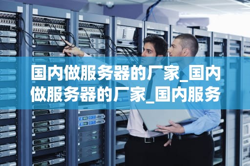 国内做服务器的厂家_国内做服务器的厂家_国内服务器厂家的发展现状与挑战