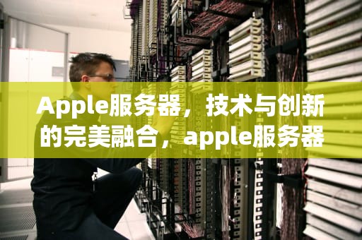 Apple服务器，技术与创新的完美融合，apple服务器出错是怎么回事