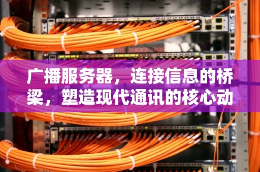 广播服务器，连接信息的桥梁，塑造现代通讯的核心动力，广播服务器是什么