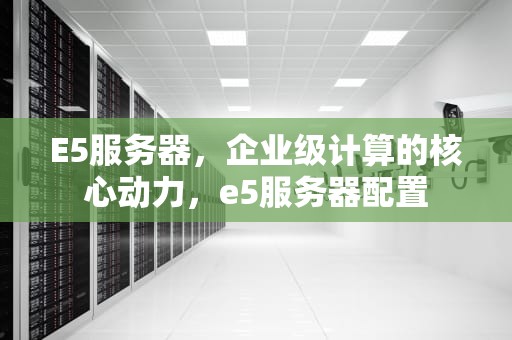 E5服务器，企业级计算的核心动力，e5服务器配置