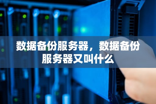 数据备份服务器，数据备份服务器又叫什么