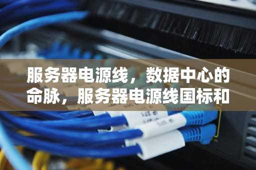 服务器电源线，数据中心的命脉，服务器电源线国标和欧标的区别