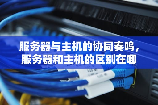 服务器与主机的协同奏鸣，服务器和主机的区别在哪